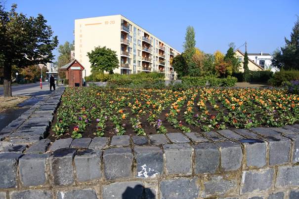 image003