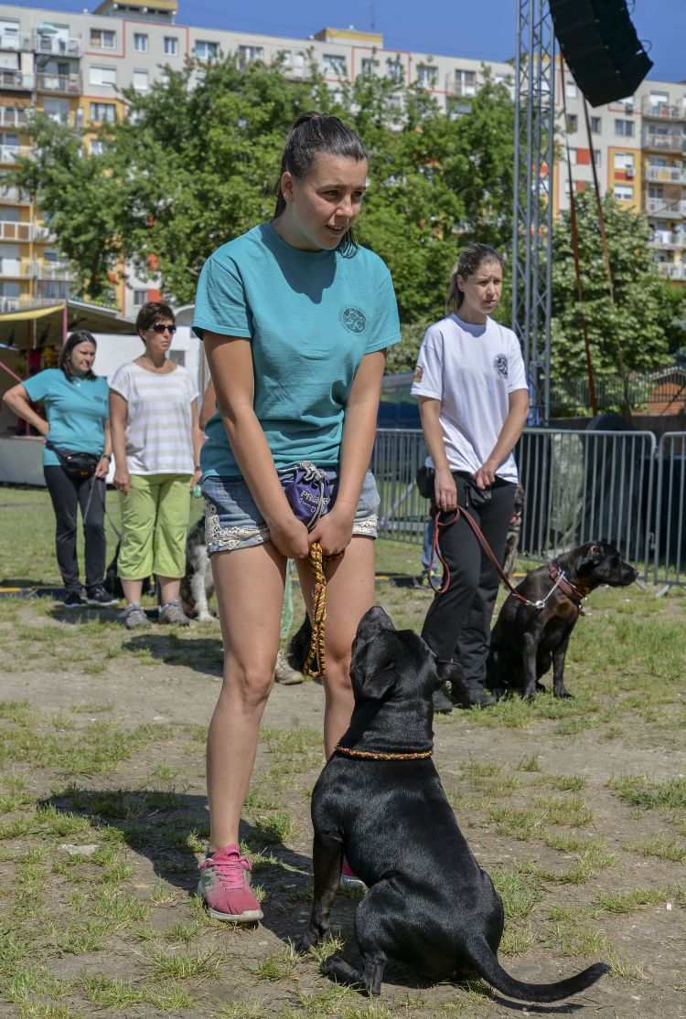 VAA 9060 copy