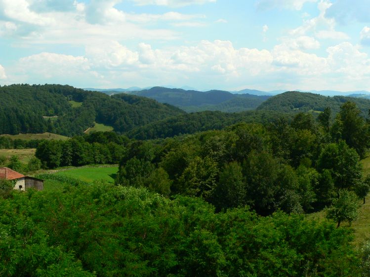 kalota1