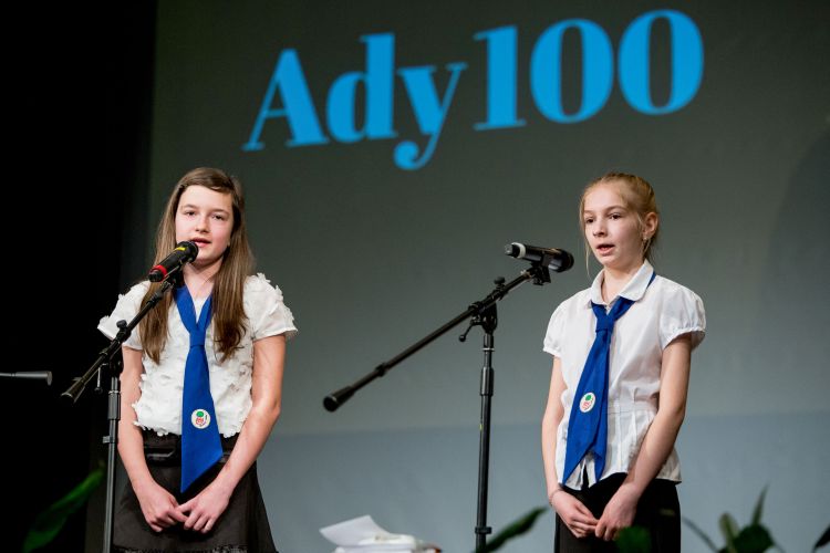 ady1