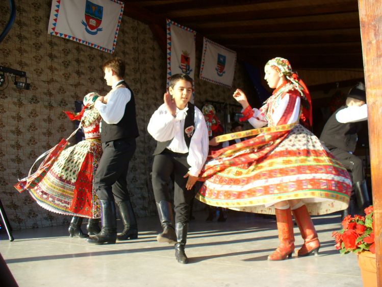 84 másolata