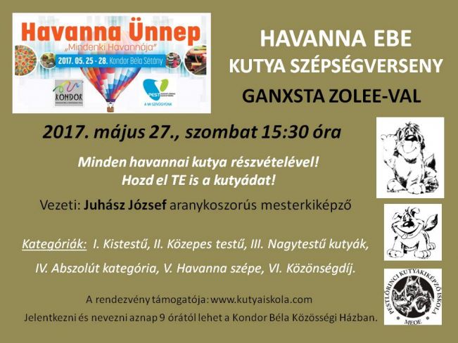 170527HAVANNAEBE