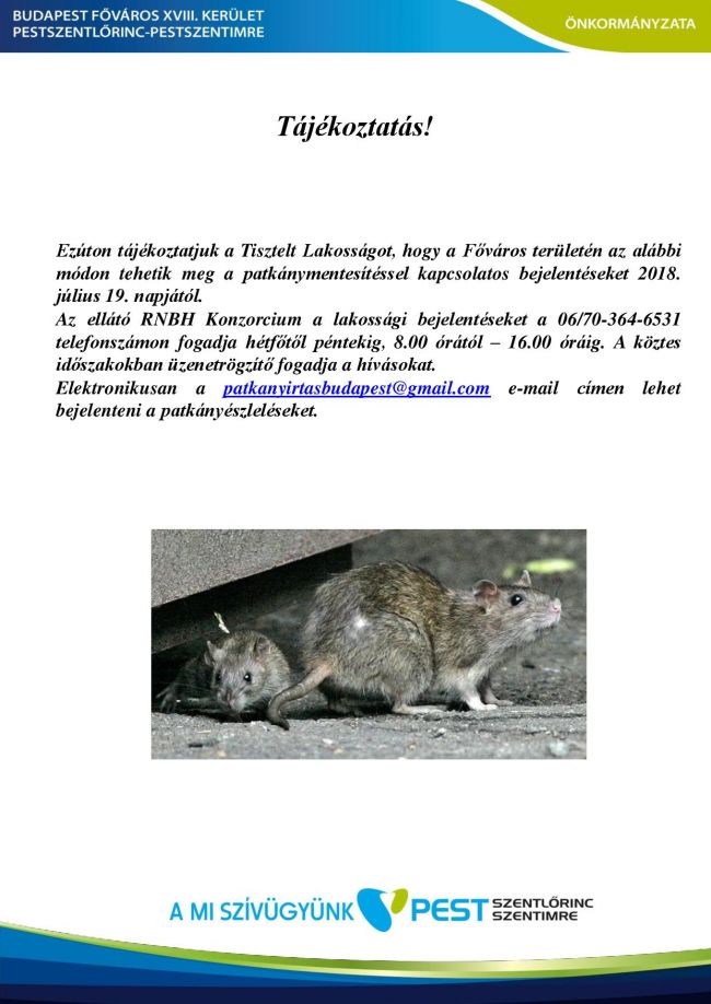 Patkanyirtas felhivasa