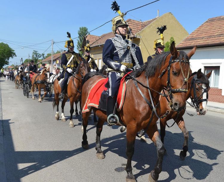 vasvari