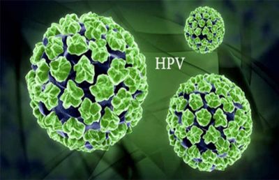 Tájékoztató a HPV-ről!