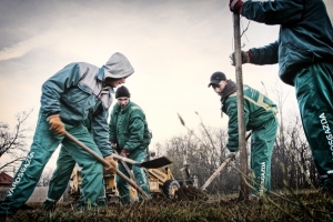 Vigyázzunk együtt a friss telepítésekre!