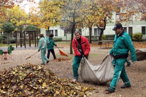 Őszi kertészeti munkák a téli felkészülés jegyében