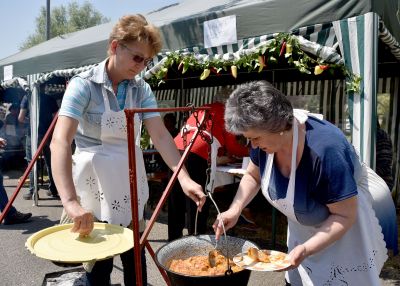 Önzetlen, ingyenes a segítségük