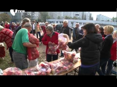 Burgonyát és almát kaptak a kerületben a 65 év felettiek