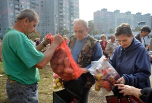 Almát és krumplit kaptak a szépkorúak