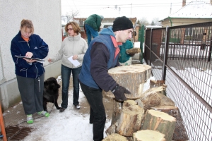 Minden igénylőnek jutott tüzelő a hidegben