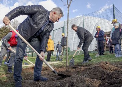 Hatvan facsemetével gazdagodott a Bókay-kert