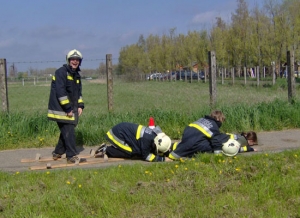 Fővárosi döntős a Hunyadi és a Kondor csapata