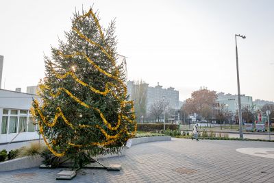 Díszítéssel és szelfivel nyerhetnek