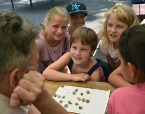 Elszállt, de szépen telt a nyár