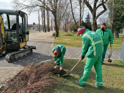 Több ezer új növény